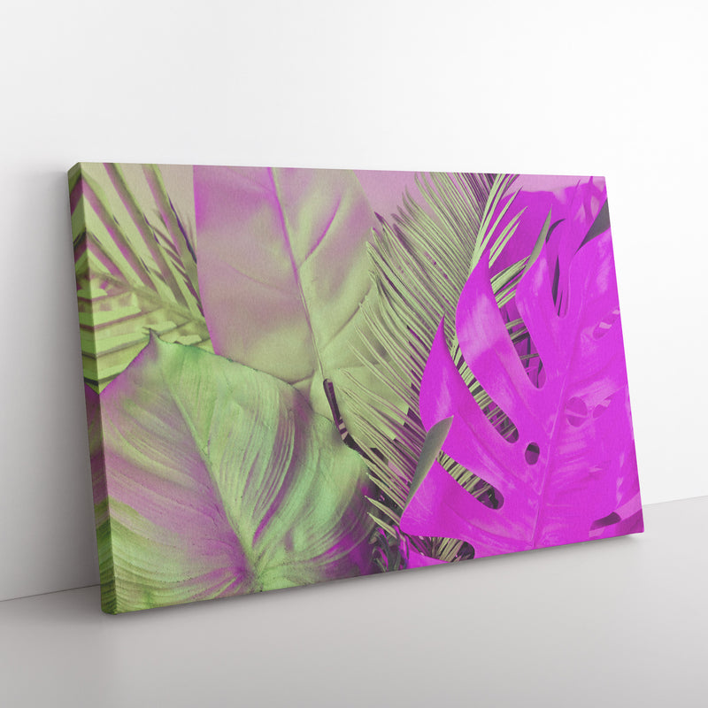 Pink Leafs