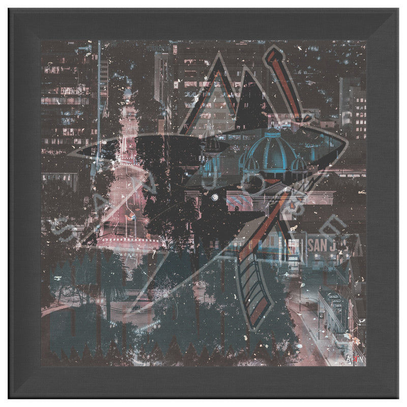 San Jose Sharks Printed Illusion Frame Black