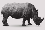 Rhino Strength