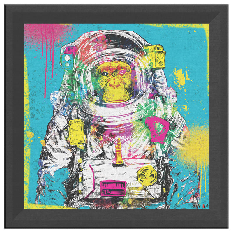 Spacial Monkey Printed Illusion Frame Black