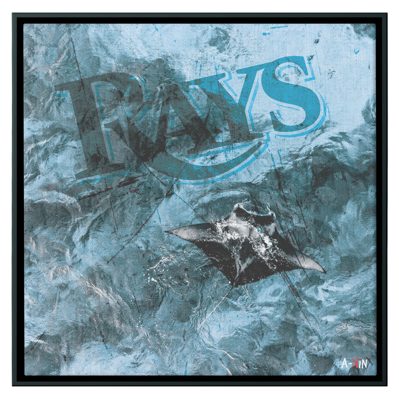 Tampa Bay Rays Wood Frame