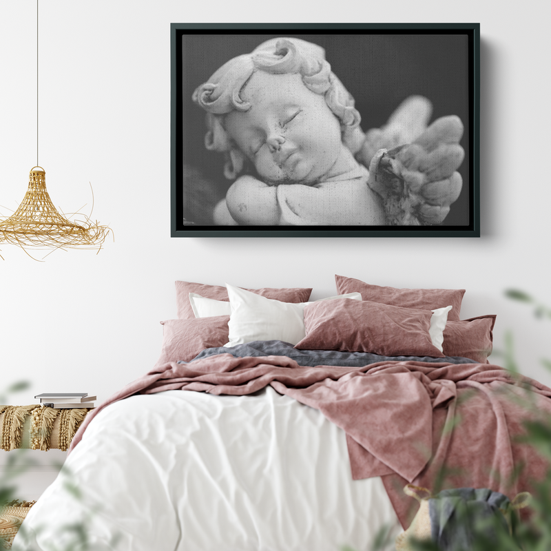 The Dreamer