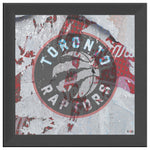 Toronto Raptors Printed Illusion Frame Black