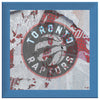 Toronto Raptors Printed Illusion Frame Blue