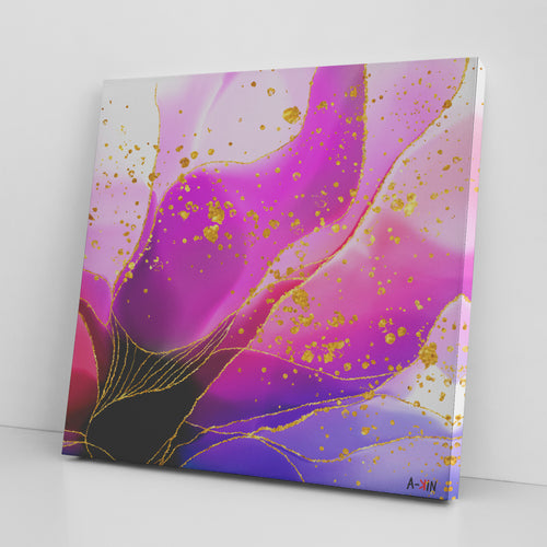 Tulipa