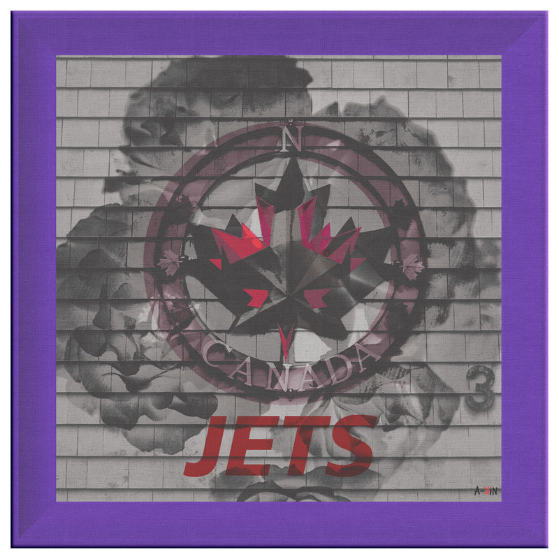 Winnipeg Jets Printed Illusion Frame Purple